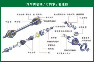 史上最全汽车零部件图，想要学习和投资的请收藏